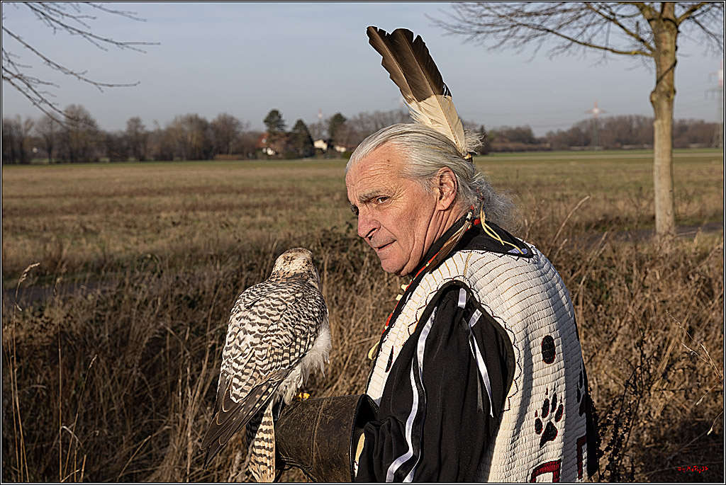 Cheyenne-Halbblut Hunting Wolf in der Falknerei Pierre Schmidt; Gymnich, 09.02.2023